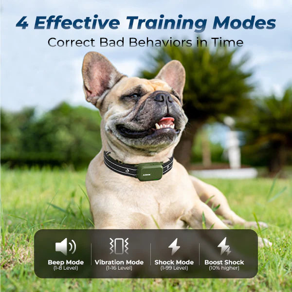 Jugbow DT-61 Remote Training Collar – 4200FT Range