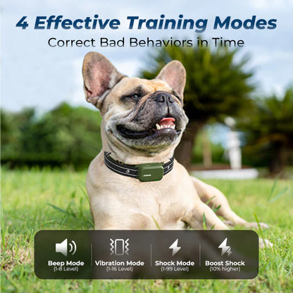 Jugbow DT-61 Remote Training Collar – 4200FT Range