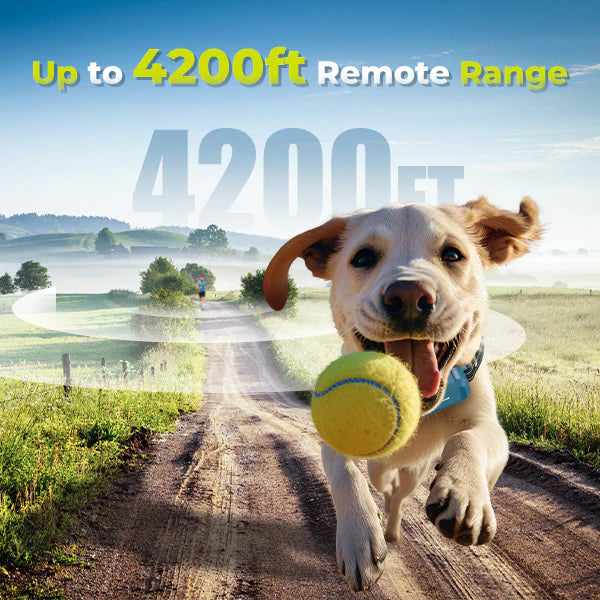 Jugbow DT-68 Remote Training Collar – 4200FT Range