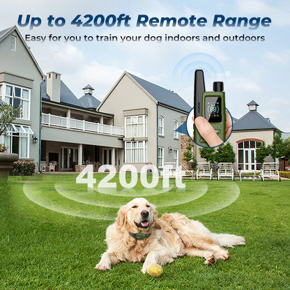 Jugbow DT-61 Remote Training Collar – 4200FT Range