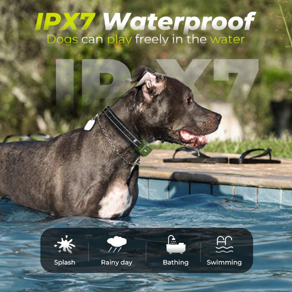 Jugbow DT-61 Remote Training Collar – 4200FT Range