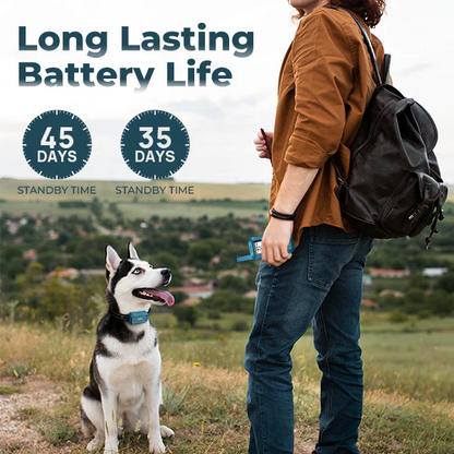 Jugbow DT-68 Remote Training Collar – 4200FT Range