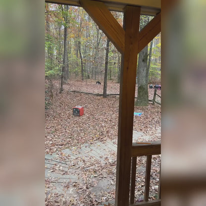 Jugbow DT-61 Remote Training Collar – 4200FT Range